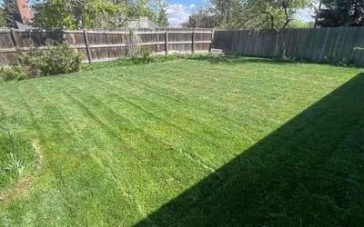 Photo of Joia H.'s yard after getting lawn care in Kennett Square, PA