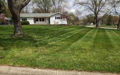 Photo of Robyn C.'s yard after getting lawn care in Swartz Creek, MI