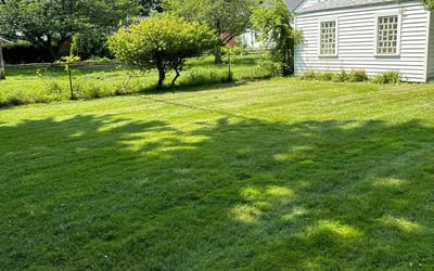 Photo of Kathy S.'s yard after getting lawn care in Brownstown, MI