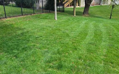 Photo of Paula F.'s yard after getting lawn care in Morton, IL