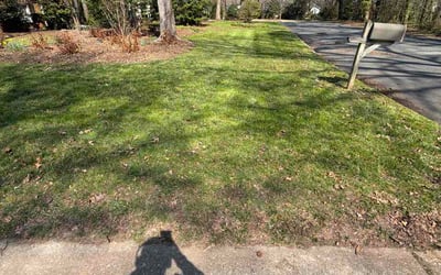 Photo of Bill U.'s yard after getting lawn care in Wright City, MO