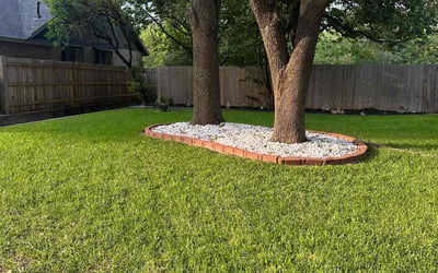 Photo of Jeremy T.'s yard after getting lawn care in San Antonio, TX