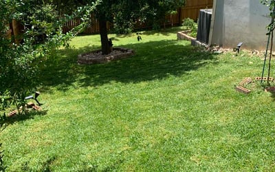 Photo of Corey M.'s yard after getting lawn care in Poteet, TX