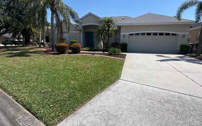 Photo of David B.'s yard after getting lawn care in Englewood, FL