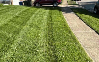 Photo of Greg L.'s yard after getting lawn care in Galloway, OH