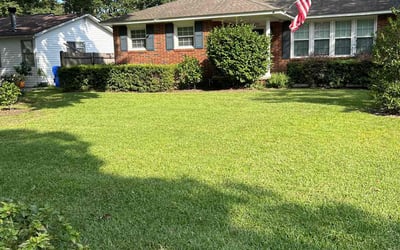 Photo of Louene A.'s yard after getting lawn care in Fountain Inn, SC