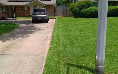 Photo of Michael E.'s yard after getting lawn care in La Marque, TX