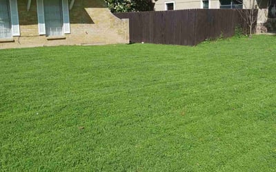 Photo of April S.'s yard after getting lawn care in Danville, CA