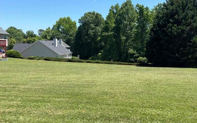 Photo of Ben R.'s yard after getting lawn care in Hiram, GA