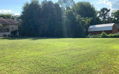 Photo of Effie S.'s yard after getting lawn care in Corryton, TN