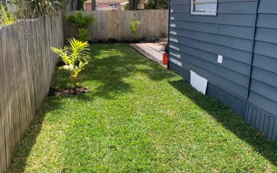Photo of Ben A.'s yard after getting lawn care in Grass Valley, CA