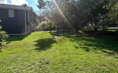 Photo of Cierra G.'s yard after getting lawn care in Douglasville, GA