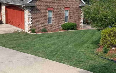 Photo of Caroline S.'s yard after getting lawn care in Branson, MO