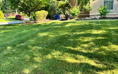 Photo of Tiffiny L.'s yard after getting lawn care in Marlton, NJ