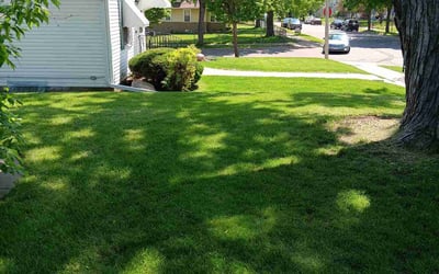 Photo of Cathleen M.'s yard after getting lawn care in Stillwater, MN