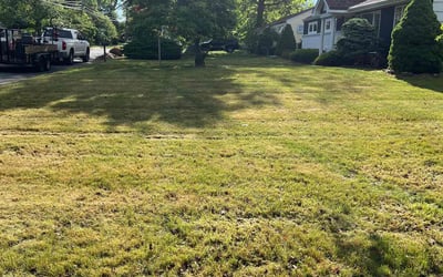 Photo of Rachel M.'s yard after getting lawn care in Jackson, NJ
