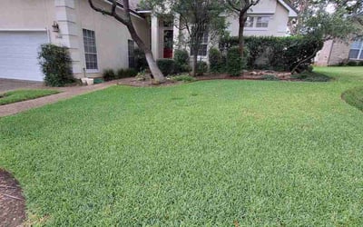 Photo of Shannon P.'s yard after getting lawn care in San Antonio, TX