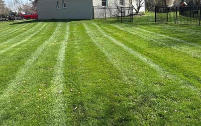 Photo of Vickie B.'s yard after getting lawn care in Carmel, IN