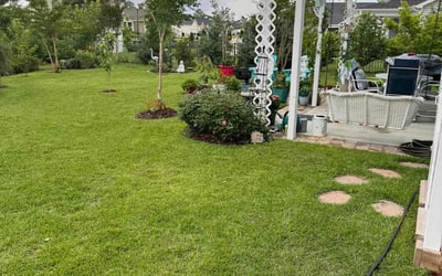 Photo of Brian S.'s yard after getting lawn care in Conway, SC