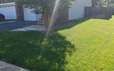 Photo of Rafael U.'s yard after getting lawn care in Woodbridge, VA