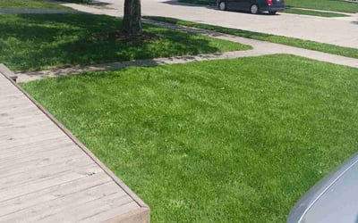 Photo of Billy L.'s yard after getting lawn care in Hopkinsville, KY