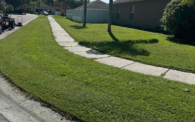 Photo of Earl M.'s yard after getting lawn care in Avon Park, FL