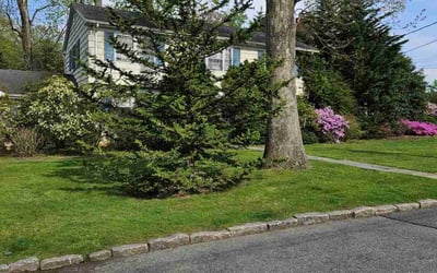 Photo of Kaitlyn C.'s yard after getting lawn care in Scarsdale, NY