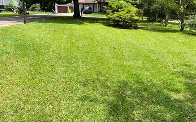 Photo of Rebecca M.'s yard after getting lawn care in Millbrook, AL