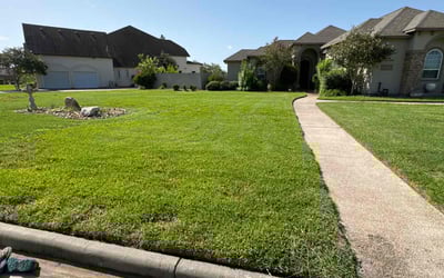 Photo of Jamie N.'s yard after getting lawn care in Rockport, TX