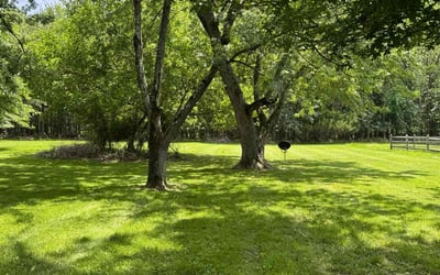 Photo of Leslie C.'s yard after getting lawn care in Pflugerville, TX