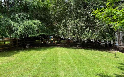 Photo of Kuleatha S.'s yard after getting lawn care in Matthews, NC
