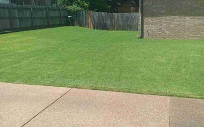 Photo of Linda B.'s yard after getting lawn care in Lake Wales, FL
