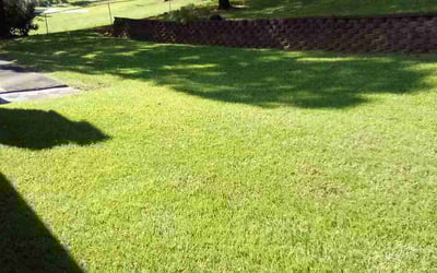 Photo of Ryan S.'s yard after getting lawn care in Stone Mountain, GA