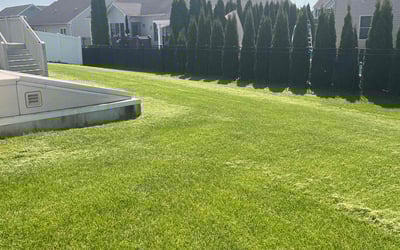 Photo of Alyssa D.'s yard after getting lawn care in Nazareth, PA