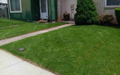 Photo of Tracy B.'s yard after getting lawn care in Concord, NC