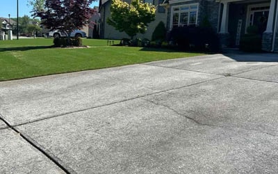 Photo of Christian B.'s yard after getting lawn care in Ringgold, GA