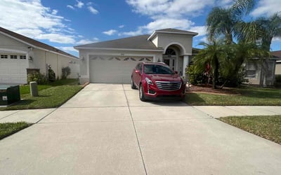 Photo of Todd R.'s yard after getting lawn care in Gulfport, FL