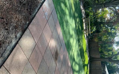 Photo of Amelie P.'s yard after getting lawn care in Glenview, IL