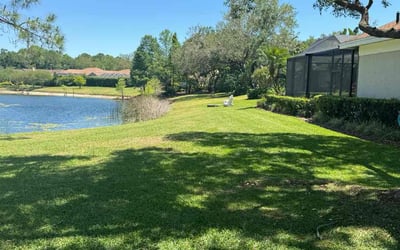 Photo of Lay B.'s yard after getting lawn care in Tulsa, OK