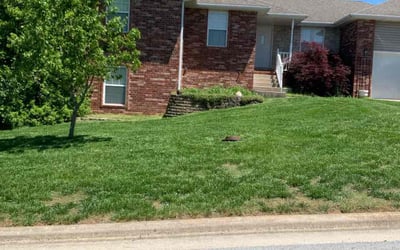 Photo of Shaunda W.'s yard after getting lawn care in Ozark, MO