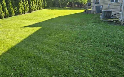 Photo of Mary K.'s yard after getting lawn care in Punta Gorda, FL
