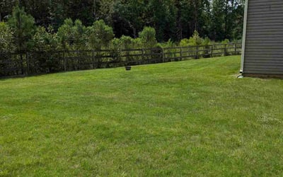 Photo of Judy P.'s yard after getting lawn care in Hampton, GA