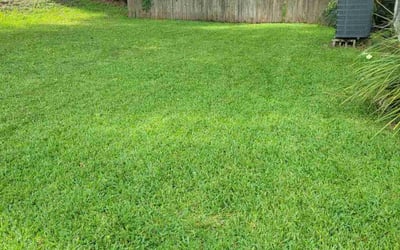 Photo of Sue L.'s yard after getting lawn care in Fernandina Beach, FL