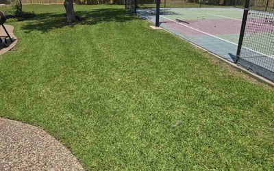 Photo of Andrew A.'s yard after getting lawn care in San Antonio, TX