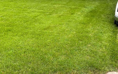 Photo of Joni L.'s yard after getting lawn care in Bowie, MD