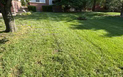 Photo of Samantha R.'s yard after getting lawn care in Gardner, KS