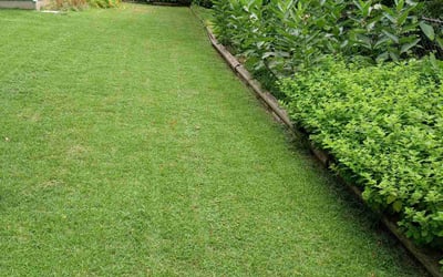 Photo of Roderick S.'s yard after getting lawn care in Peoria, IL