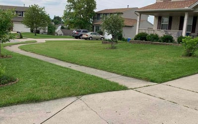 Photo of Katrina F.'s yard after getting lawn care in West Chester, OH