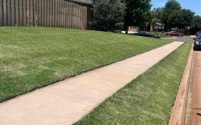 Photo of Tim H.'s yard after getting lawn care in York, SC