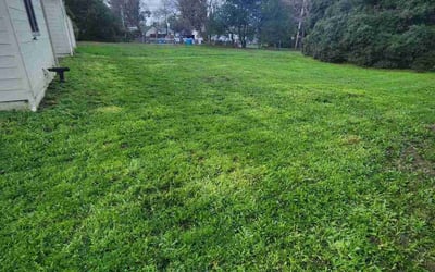 Photo of Cornell J.'s yard after getting lawn care in Sebastopol, CA